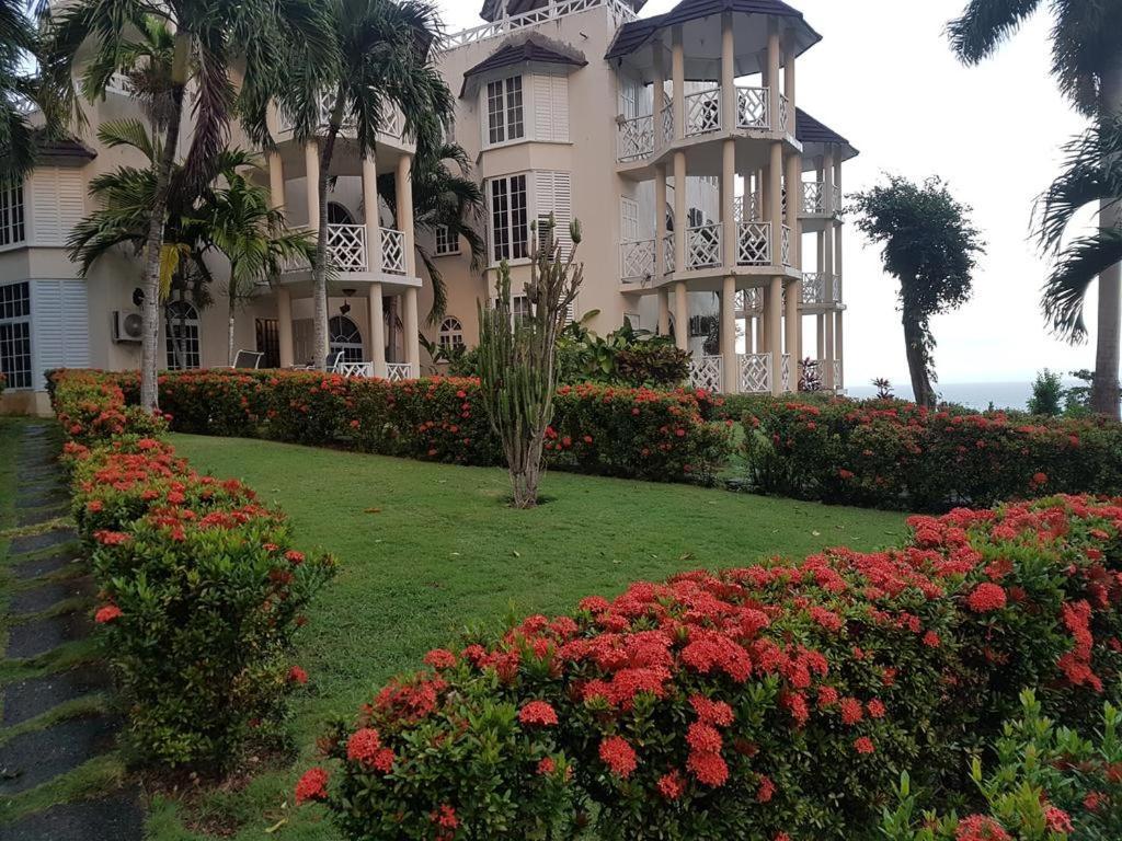 Chill On The Hill Apartment Ocho Rios Luaran gambar